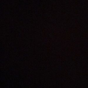 Meet your Posher, Shayla